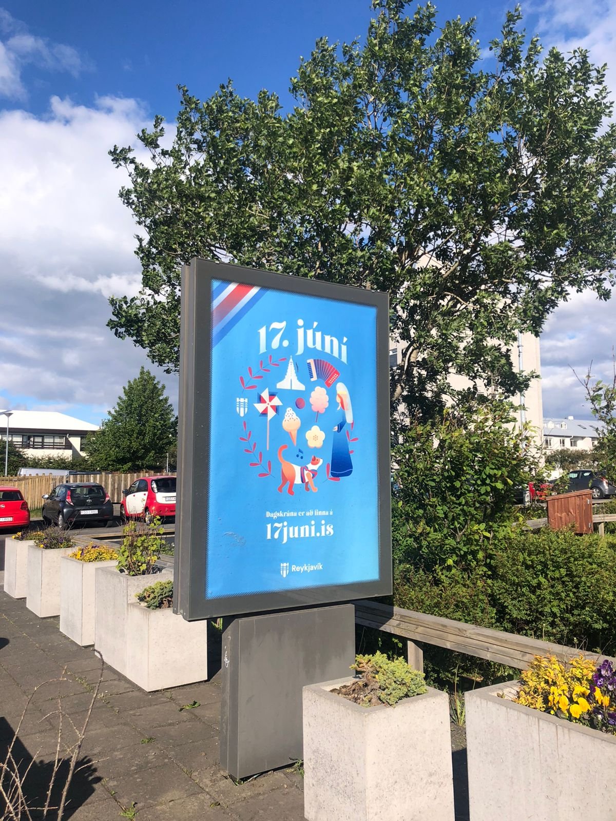 Icelandic National Day, image 2